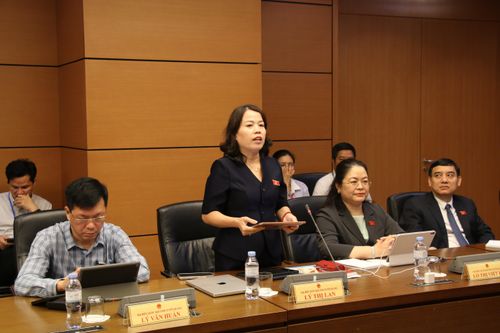 Đại biểu Lý Thị Lan (Tuyên Quang) phát biểu. Ảnh: Đắc Trường