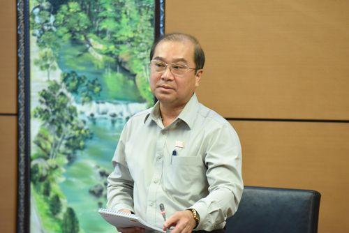 ĐBQH Trình Lam Sinh (An Giang) phát biểu