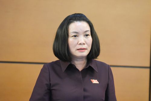 ĐBQH Nguyễn Minh Tâm (Quảng Trị) phát biểu