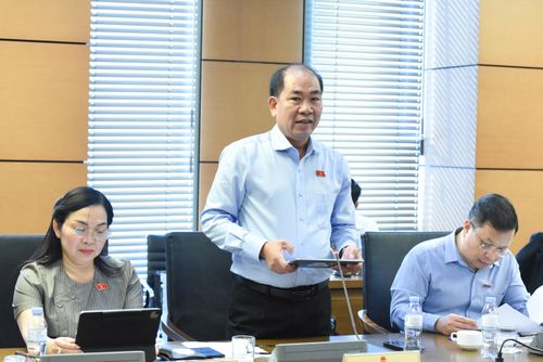 ĐBQH Nguyễn Việt Thắng (An Giang) phát biểu