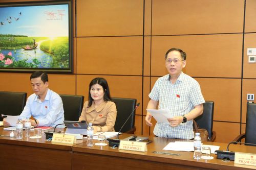 ĐBQH Trần Đình Gia (Hà Tĩnh) phát biểu