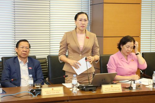 ĐBQH Nguyễn Thị Yến Nhi (Vĩnh Long) phát biểu