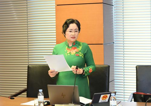 ĐBQH Lò Thị Luyến (Điện Biên) phát biểu