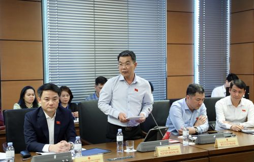 ĐBQH Nguyễn Hoàng Hà (Ninh Bình) phát biểu ý kiến