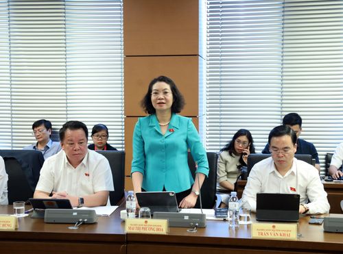 Đại biểu Mai Thị Phương Hoa (đoàn Ninh Bình) tham gia ý kiến tại phiên thảo luận