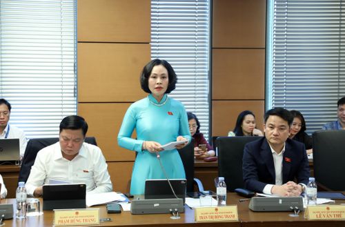 ĐBQH Trần Thị Hồng Thanh (Ninh Bình) phát biểu ý kiến