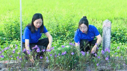 Hoạt động chăm sóc đường hoa, làm sạch đẹp môi trường.