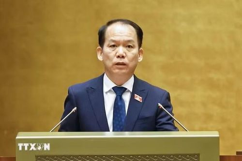  Bộ trưởng Tư pháp Hoàng Thanh Tùng, thừa ủy quyền của Thủ tướng Chính phủ trình bày Tờ trình về dự án Luật Tiếp cận thông tin (sửa đổi). Ảnh: Doãn Tấn/TTXVN. 