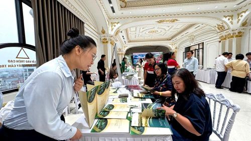 Gặp gỡ B2B giữa doanh nghiệp lữ hành quốc tế và các doanh nghiệp du lịch Việt Nam