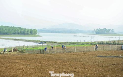 Quanh hồ, các hộ dân sản xuất nông nghiệp càng tạo nên khung cảnh yên bình, hấp dẫn du khách trải nghiệm tại hồ Yên Mỹ.