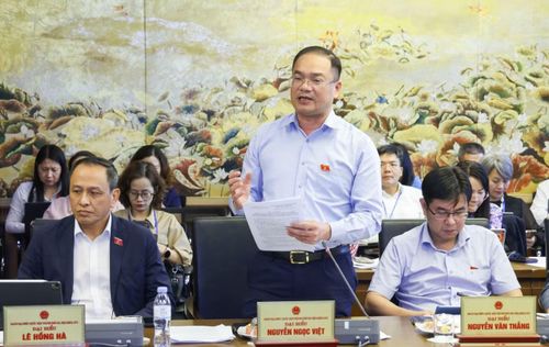  Đại biểu chuyên trách đoàn TP Hà Nội Nguyễn Ngọc Việt. 
