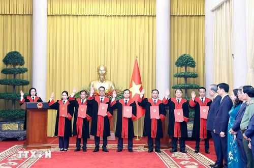 Các Thẩm phán Tòa án Nhân dân tối cao tuyên thệ sau khi nhận Quyết định bổ nhiệm. (Ảnh: Thống Nhất/TTXVN)