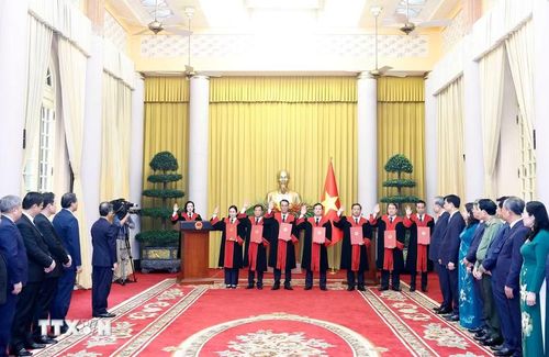 Các Thẩm phán Tòa án Nhân dân tối cao tuyên thệ sau khi nhận Quyết định bổ nhiệm. (Ảnh: Thống Nhất/TTXVN)