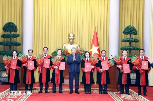 Tổng Bí thư, Chủ tịch nước Tô Lâm trao Quyết định bổ nhiệm chức danh Thẩm phán Tòa án Nhân dân Tối cao cho các thẩm phán. (Ảnh: Thống Nhất/TTXVN)