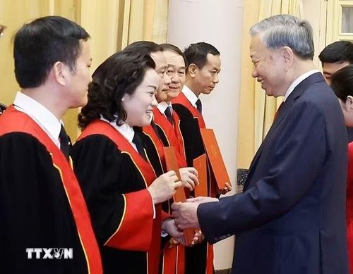 Tổng Bí thư, Chủ tịch nước Tô Lâm trao Quyết định bổ nhiệm chức danh Thẩm phán Tòa án nhân dân Tối cao cho các thẩm phán. (Ảnh: Thống Nhất/TTXVN)
