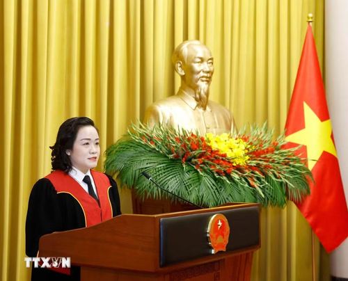Phó Chánh án Tòa án nhân dân Tối cao Nguyễn Hải Trâm phát biểu. (Ảnh: Thống Nhất/TTXVN)