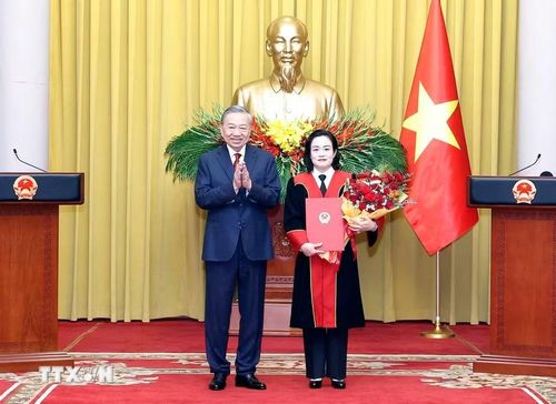 Tổng Bí thư, Chủ tịch nước Tô Lâm trao Quyết định bổ nhiệm chức vụ Phó Chánh án Tòa án Nhân dân Tối cao đối với Thẩm phán Tòa án Nhân dân Tối cao Nguyễn Hải Trâm. (Ảnh: Thống Nhất/TTXVN)
