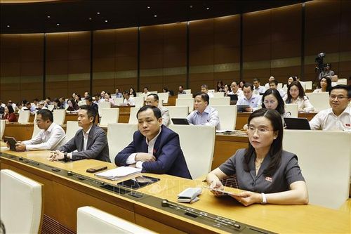 Đoàn đại biểu Quốc hội TP Hồ Chí Minh dự phiên họp. Ảnh: Doãn Tấn/TTXVN