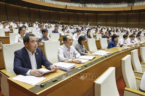 Đoàn đại biểu Quốc hội TP Hà Nội dự phiên họp. Ảnh: Doãn Tấn/TTXVN