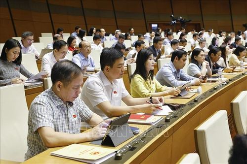Đoàn đại biểu Quốc hội tỉnh Hà Tĩnh dự phiên họp. Ảnh: Doãn Tấn/TTXVN