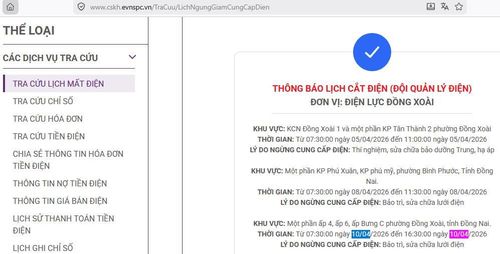 Tổng công ty Điện lực miền Nam (EVNSPC) thông báo có lịch cắt điện ở Đồng Nai trong ngày 10/4. Ảnh: BNEWS/TTXVN phát