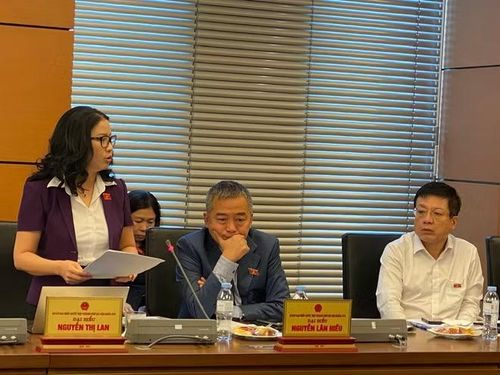 Đại biểu Nguyễn Thị Lan (Đoàn Hà Nội) góp ý tại thảo luận tổ sáng 9/4. (Ảnh: Vietnam+)