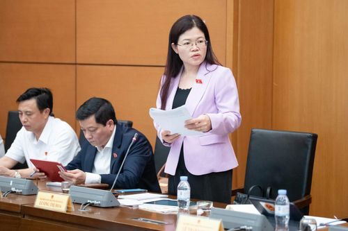 ĐBQH Lương Thị Hoa tham gia phát biểu thảo luận tại tổ.