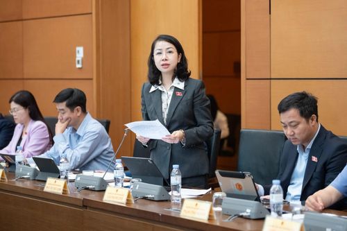ĐBQH Phan Thị Thùy Linh tham gia phát biểu tại tổ.