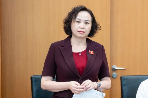 ĐBQH Cao Thị Xuân tham gia phát biểu thảo luận tại tổ.