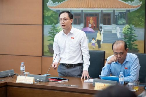 ĐBQH Phạm Thế Anh tham gia phát biểu tại tổ.