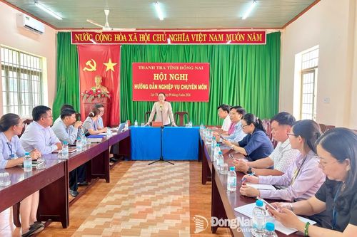 Tỉnh ủy viên, Chánh Thanh tra tỉnh Võ Thị Xuân Đào phát biểu tại hội nghị. Ảnh: Thanh Tuyền