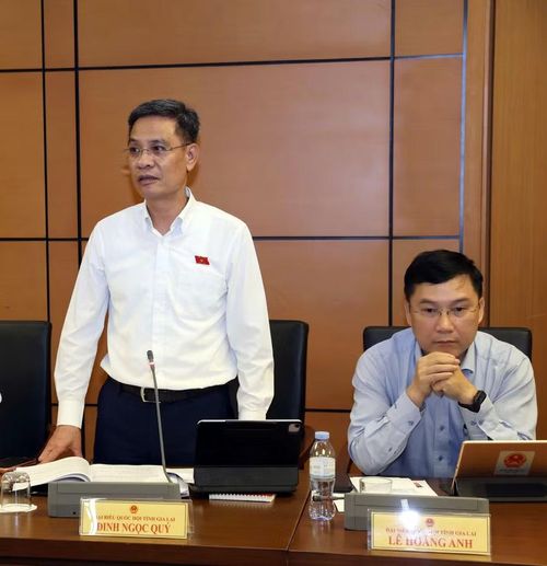  ĐB Đinh Ngọc Quý đề nghị các quy định sửa đổi lần này cần quan tâm nhiều hơn đến yếu tố phúc lợi xã hội. Ảnh: Đoàn ĐBQH tỉnh 