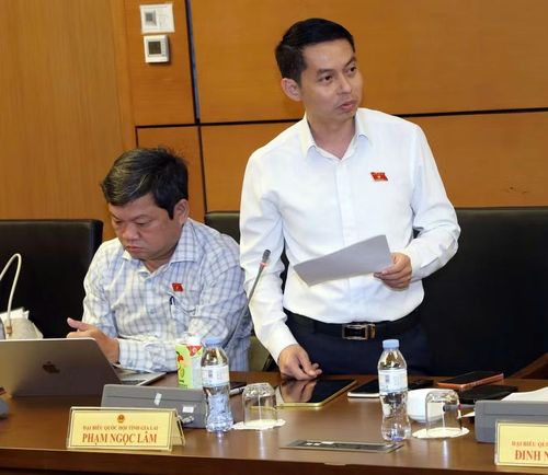  ĐB Phạm Ngọc Lâm cho rằng quy định xét bình chọn "Chiến sĩ thi đua cấp cơ sở" phải có sáng kiến kinh nghiệm là rất hình thức và không thực chất. Ảnh: Đoàn ĐBQH tỉnh 