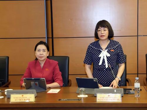  ĐB Nguyễn Thị Mai Phương tham gia thảo luận về dự thảo Luật Thủ đô (sửa đổi). Ảnh: Đoàn ĐBQH tỉnh 