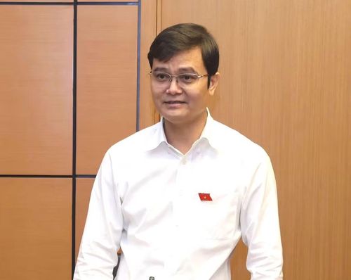  ĐB Bùi Quang Huy cho rằng, các thông tin gắn với đời sống dân sinh nên công khai rộng rãi. Ảnh: Đoàn ĐBQH tỉnh 