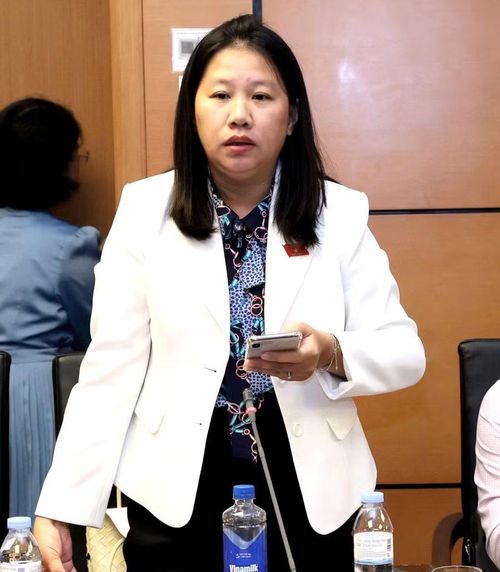  ĐB Huỳnh Thị Anh Thảo đề xuất cần có quy định cụ thể về hình thức công khai thông tin thông qua việc tiếp công dân, họp báo, thông cáo báo chí, hoạt động của người phát ngôn. Ảnh: Đoàn ĐBQH tỉnh 