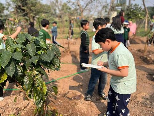 Khám phá sự kỳ diệu của thế giới thực vật.