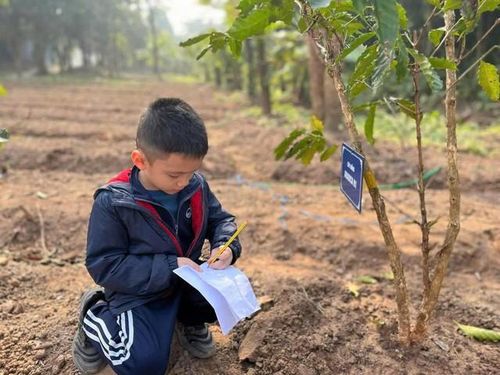 Học sinh trải nghiệm học tập tại Vườn Thực vật Hà Nội.