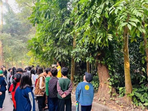 Vườn Thực vật Hà Nội sẽ trở thành địa điểm lý tưởng cho các chương trình ngoại khóa, giáo dục môi trường và trải nghiệm thực tế dành cho trẻ em tại Hà Nội.