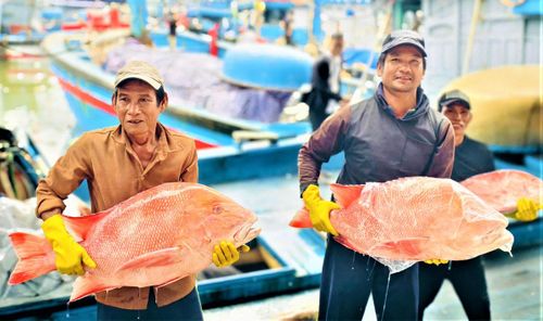 Niềm vui của ngư dân Quảng Ngãi đánh bắt trúng lộc biển. Ảnh: Chí Đại.