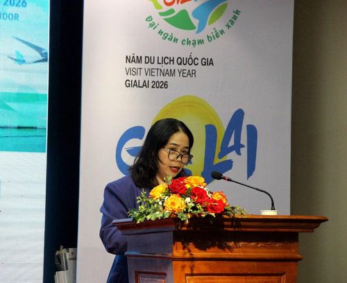 Bà Đỗ Thị Diệu Hạnh, Giám đốc Sở VHTTDL tỉnh Gia Lai phát biểu khai mạc, giới thiệu các hoạt động, sự kiện tiêu biểu trong thời gian tới và định hướng phát triển du lịch của tỉnh