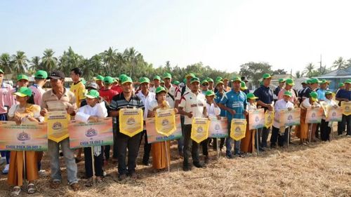 Giải thu hút đông các đội nông dân tham gia.