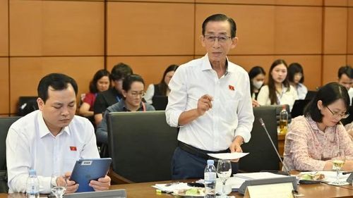Đại biểu Trần Hoàng Ngân (Đoàn Thành phố Hồ Chí Minh). (Ảnh: THỦY NGUYÊN)