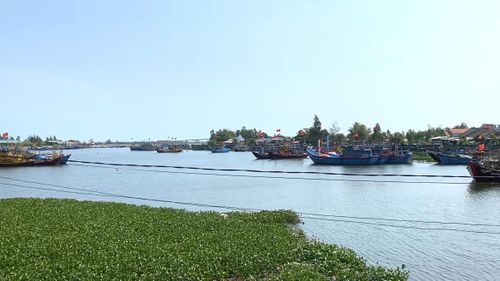 Dù quy mô có thể tiếp nhận 1.000 tàu cá nhưng hiện Cảng cá Hồng Triều vẫn vắng vẻ.