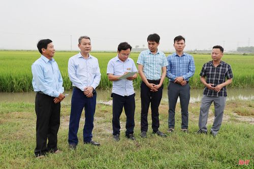 Lãnh đạo xã Cẩm Lạc xuống hiện trường thôn Lạc Thọ để lắng nghe kiến nghị của công dân.