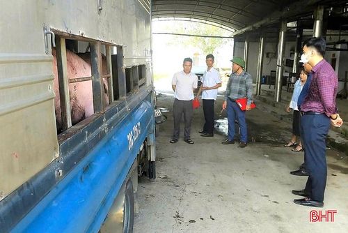 Nhiều cơ sở giết mổ tập trung trên địa bàn cũng đã chủ động chấn chỉnh quy trình hoạt động, chú trọng hơn đến việc kiểm soát vệ sinh thú y và an toàn thực phẩm.