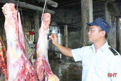 Hà Tĩnh đang tập trung kiểm soát hoạt động tại các cơ sở giết mổ tập trung trên địa bàn tỉnh.