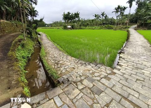 Quang cảnh thân quen của một làng quê Việt cổ. (Ảnh: Quốc Dũng/TTXVN)