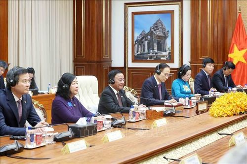 Đoàn đại biểu cấp cao Việt Nam tại cuộc hội kiến Chủ tịch CPP, Chủ tịch Thượng viện Campuchia Hun Sen. Ảnh: Phương Hoa/TTXVN