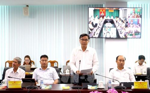 Đại biểu đóng góp tham luận tại hội nghị. Ảnh: Phúc Sơn – TTXVN